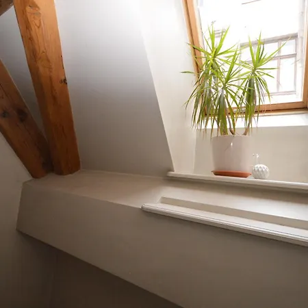 Doma Albergue